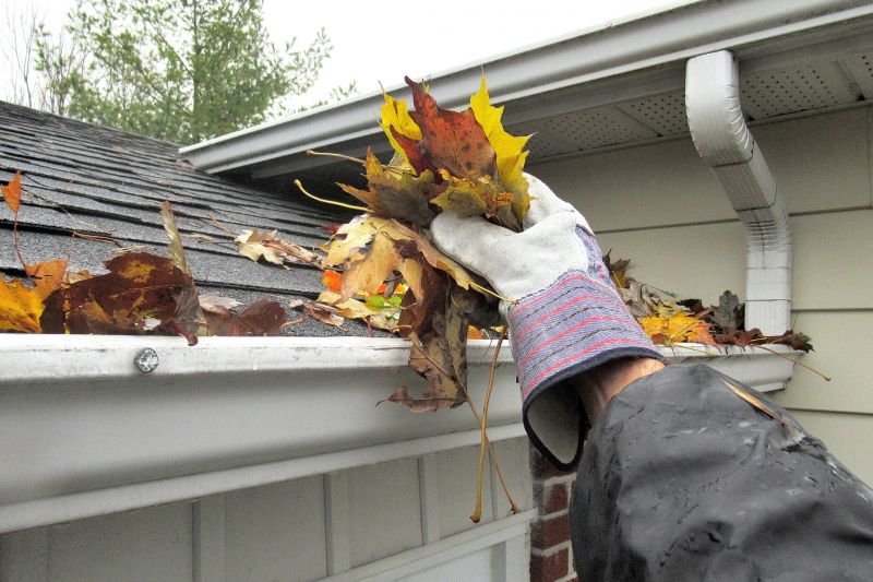 Spring Gutter Maintenance